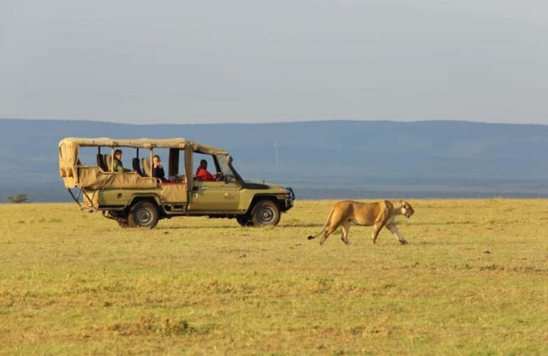 5 Days Group Serengeti, Ngorongoro & Tarangire wildlife Tour - The Itinerary in Detail