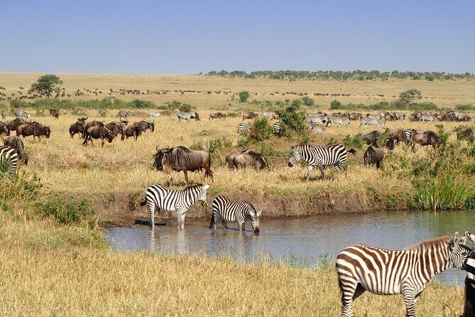 5 Days in the wild & a day hike around Materuni Waterfall. - What’s Included & What’s Not