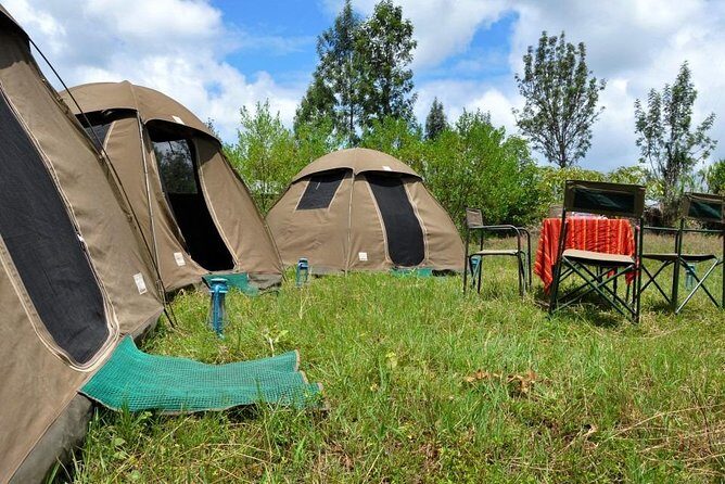 5 days into the heart of serengeti (serengeti, ngorongoro, lake manyara) - The Practicalities: What to Expect