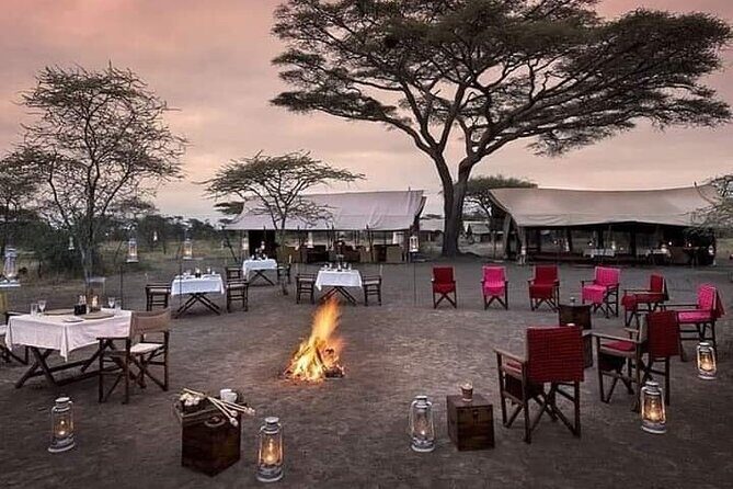 5 Days: Lake Manyara / Serengeti / Ngorongoro - What Travelers Say & How It Adds to the Experience