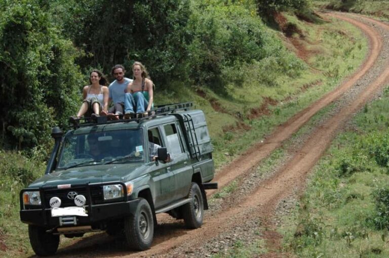 5 Days Masai Mara, Lake Nakuru and Aberdare Circuit Safari - The Itinerary Breakdown
