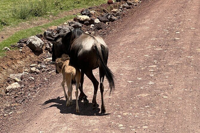 5 Days of Wilderness Ride - Who Should Consider This Tour?