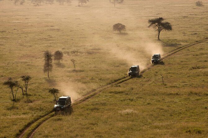 5 Days Safari Tarangire, Serengeti, and Ngorongoro Crater - Why This Tour Offers Great Value