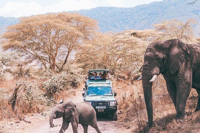 5 days serengeti, ngorongoro, tarangire & manyara lodge tour - Day 5: The Finale at Lake Manyara and Return