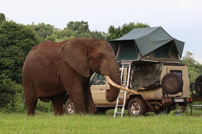 5 Days Tanzania Joining Safari with Pick Up Included Shared Tour - What Travelers Say