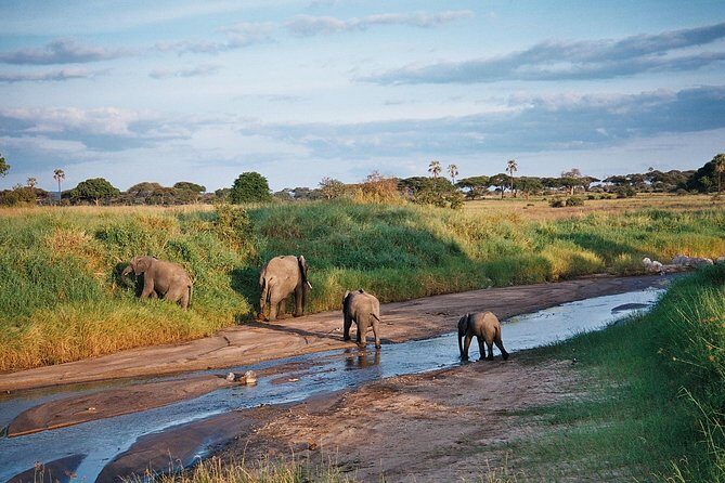 5 Days Tanzania Safari- Tarangire Np, Serengeti Np and Ngorongoro Crater - Practical Considerations