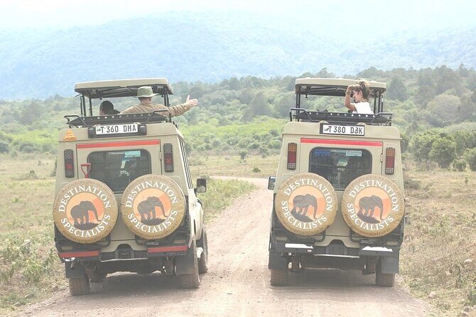 5 Days Tanzania Wildlife Safari Private Tour - Analyzing the Itinerary: What You Can Expect