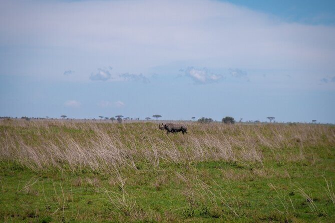 5 Days Tanzania's Wildlife Joint Safari. - Price and Value