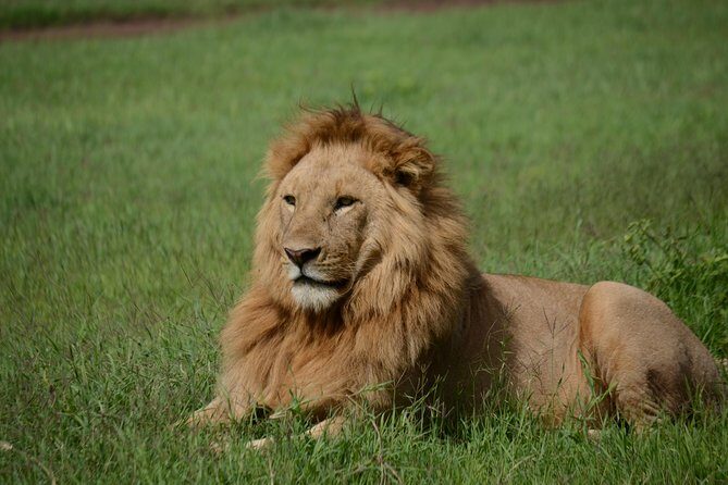 5 Days Tarangire ,Serengeti.Ngorongoro and Lake manyara - FAQ