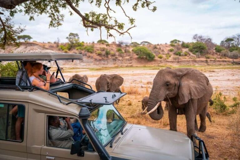 5 Days Taste of Amboseli, Tsavo West and East Luxury Safari - The Experience: What Makes It Stand Out