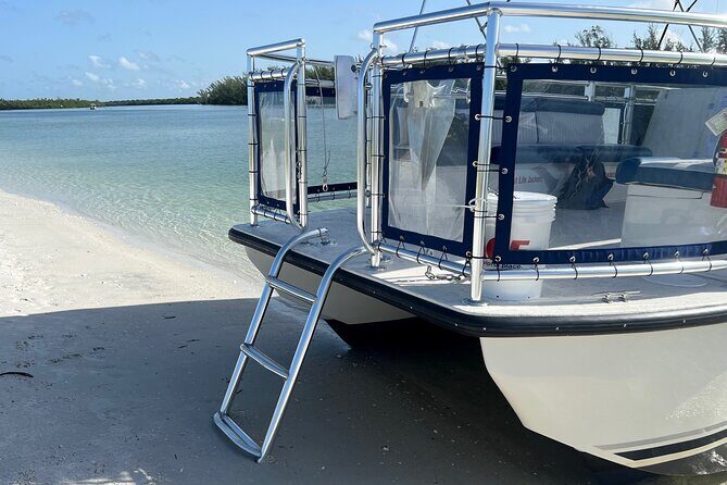 5 Hour Keewaydin Island Beach Tour - The Experience Provider: Naples Waterway and Wildlife Tours