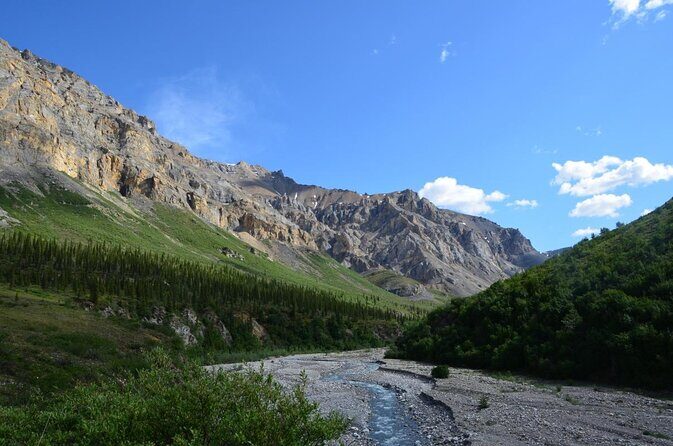 5-Hour Mountain Hiking Tour in the Alaska Range - Denali Area - What Do the Reviews Say?