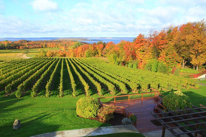 5-Hour Traverse City Wine Tour: 4 Wineries on Old Mission Peninsula - What to Expect from the Tour
