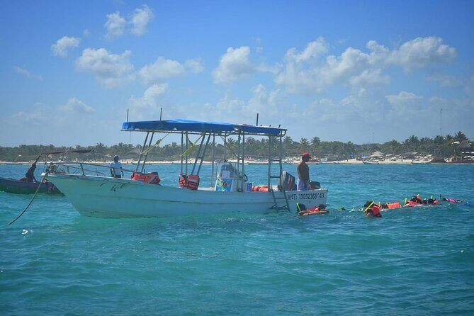 5 Hours Mayan Snorkeling Experience in Tulum - The Value of Guided Marine and Land Adventures