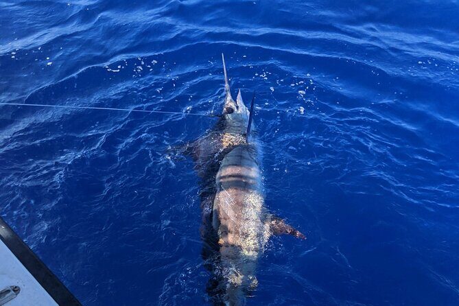 5 Hours Private Fishing Charter in Kailua-Kona - In-Depth Look at the Experience