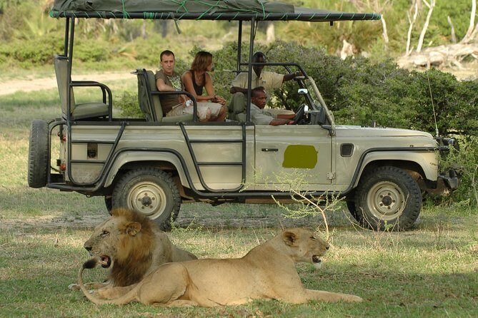5Days Tanzania Camping Safari to Lake Manyara Serengeti And Ngorongoro Crater from Arusha - Why This Safari Delivers Great Value