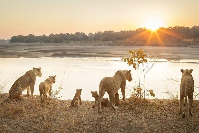 6-Day Budget Lodge Safari in Tanzania - What Is Included & What To Expect