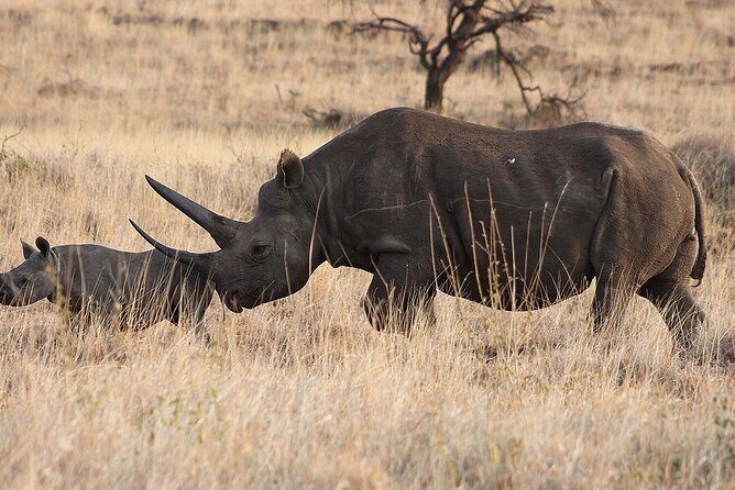 6 Day: Epic Northern Safari - What Makes This Safari Stand Out?