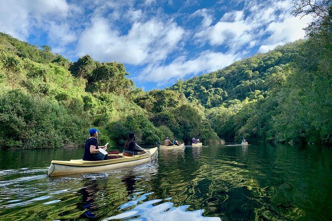 6-Day Garden Route & Addo South African Adventure from Cape Town - Who Should Consider This Tour?