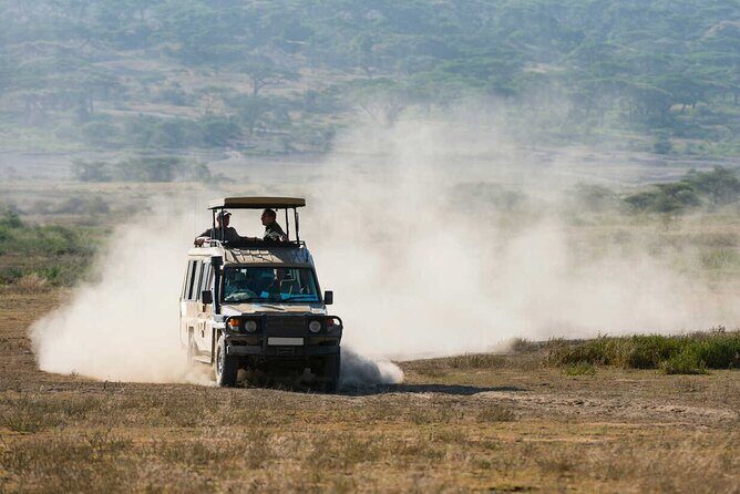 6-Day Honeymoon Safari Tour Package in Tanzania - The Sum Up: Who Is This Safari Best For?