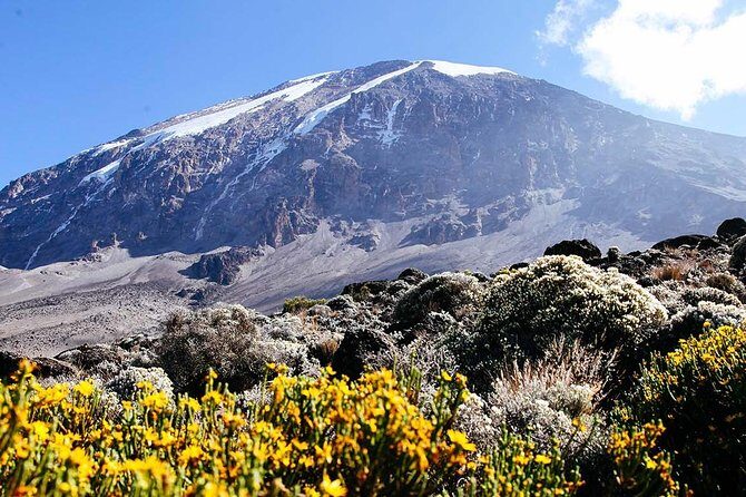 6 Day Machame Route - Climb Mount Kilimanjaro - Authenticity and Support: What Travelers Say