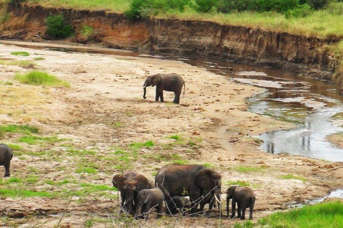 6 Days - Best of Nothern Parks Safari - The Sum Up