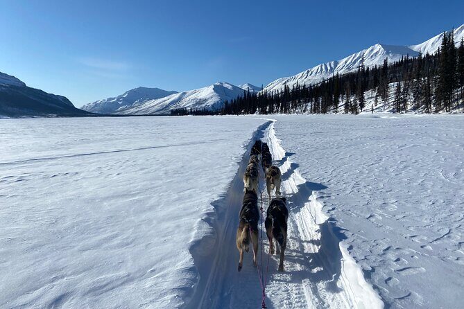 6 Days Brooks Range Expedition Private Tour - The Experience: What’s Included and What You’ll Love