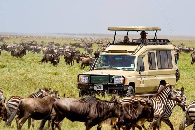 6 Days Budget Tanzania Camping Safari - What Travelers Say: Authentic Experiences and Value