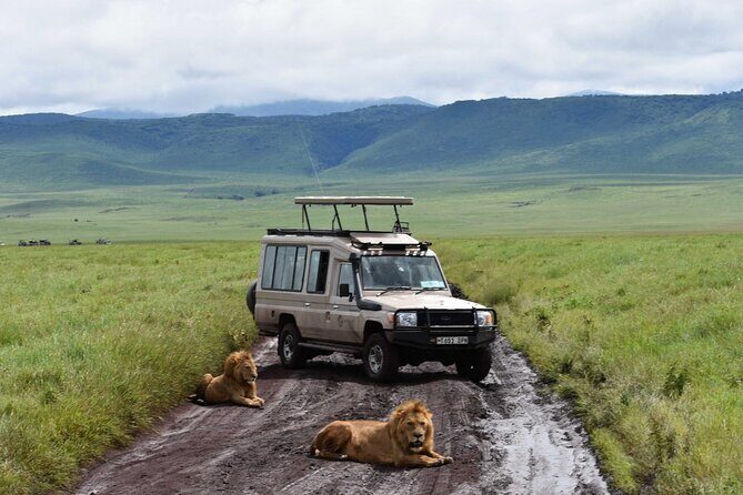 6 Days Budget Tour in Tarangire, Serengeti ,Ngorongoro and Manyara - The Itinerary Breakdown