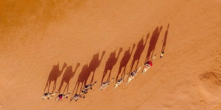 6-Days Casablanca to Marrakesh via Desert, Fez & Chefchaouen - Practical Aspects and Value