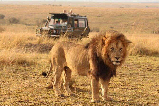 6 Days lodge &camping tour Serengeti ,Tarangire ,Ngorongoro Crater and Manyara - Introduction to the Experience