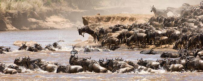 6 Days Luxury Migration Safari-Northern Tanzania - What Travelers Can Expect