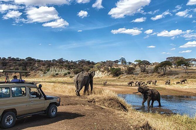 6 Days Private Camping Safari Serengeti, Ngorongoro, Lake Manyara and Tarangire - Price and Value