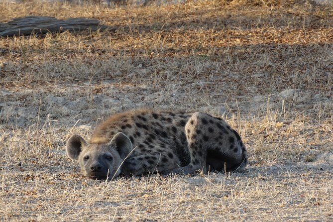 6 Days Safari to Mikumi Np, Udzungwa Mountain NP and Nyerere NP (Selous GR) - FAQ