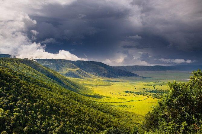 6 Days Tanzania Wildlife And Cultural Tour - Value and Experience Analysis