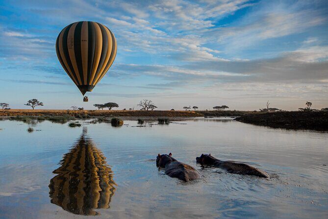 6 Days Tarangire, Serengeti, Ngorongoro & Manyara Joining Tour - Real Traveler Feedback and Authentic Insights