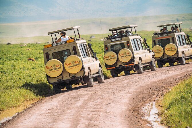 6-DayThe Best of Northern Tanzania Safari - Who Will Love This Safari?
