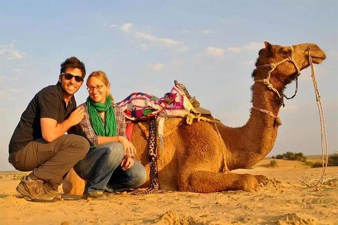6-Hour Dubai Desert Dinner Safari with Dune Bashing & Camel Ride - Who Will Love This Tour?