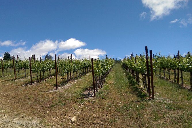 6 Hour Napa or Sonoma Wine Tour in Private Limousine - The Experience: A Closer Look at What You’ll Get