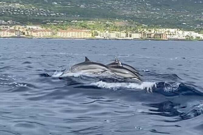 6 Hour Private Charter in Kona - Reviewing the Experience through Customer Feedback
