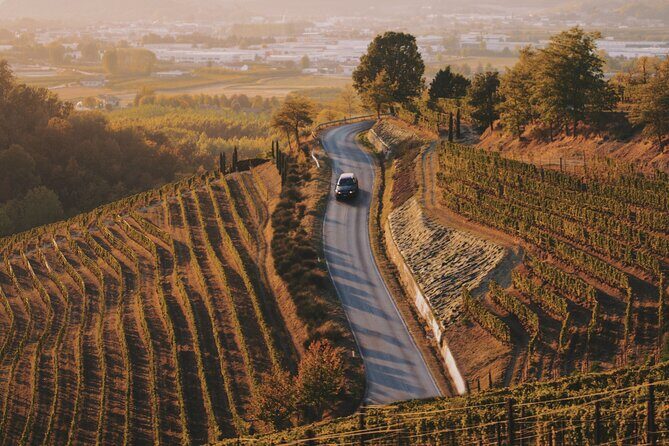 6-hour Private Luxury SUV Wine Tour in Napa Or Sonoma Valley - What Travelers Are Saying