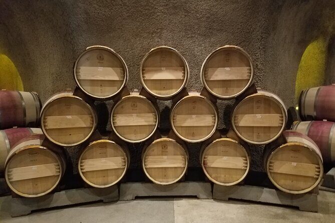 6-Hour Private Napa Limousine Wine Tour (Style & Wine) - Who Would Love This Tour?