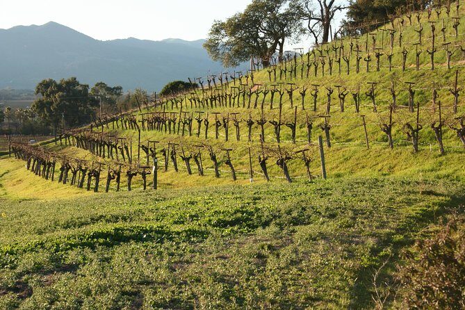 6-Hour Private Wine Country Tour of Napa in Crossover SUV (up to 6 people) - The Practical Side