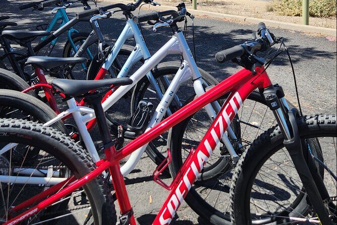 6-Hour Regular Bike Rental From Tucson - Final Thoughts: Is This for You?