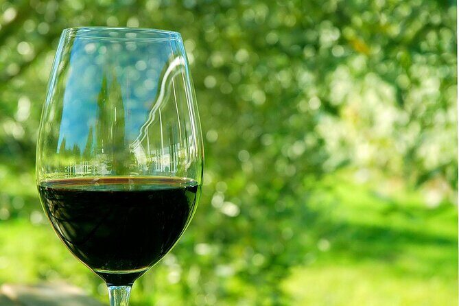 6 Hour Variety Wine Vineyard Tour in Napa Valley - Who Is This Tour Best For?