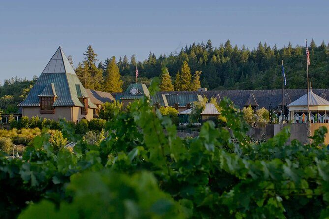 6 Hours Private Wine Tour in Healdsburg Featuring Coppola Winery - What to Expect from the Tour