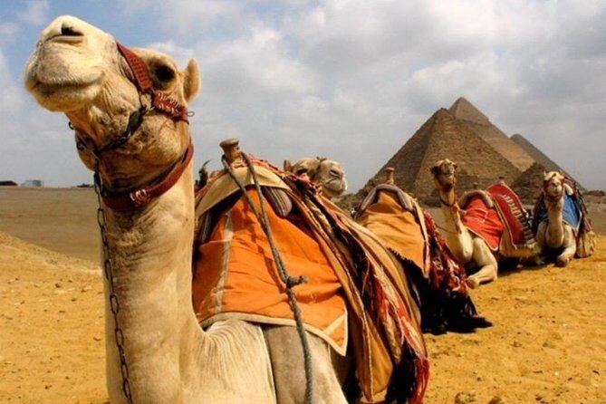 6 Hours visit to Giza pyramids sphinx and Sakkara - Transportation and Comfort
