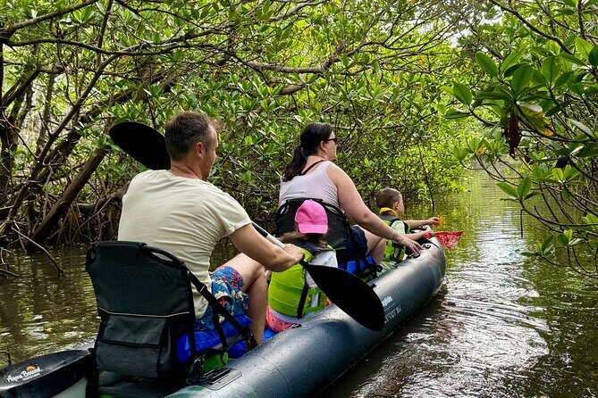 6-Hr Tropical Mangroves, Coastal River and Ocean Wildlife Watch - The Land of the Little Motor: Making the Return Easy and Relaxing