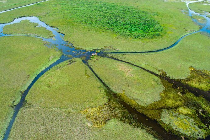 60 min. Everglades Airboat ride & pick-up ,small group +pro guide - The Experience of the Airboat Ride