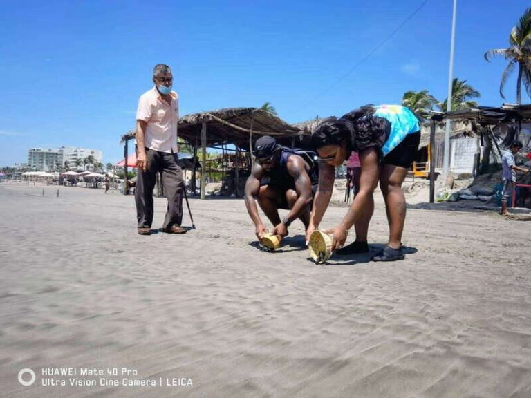 .6Hr Tour Diving Show Baby Turtle Release & All Attractions - The Turtle Release: A Heartwarming Start